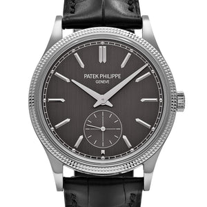 Patek Philippe Calatrava 6119G-001 White Gold Grey Dial (2026) — foto 4