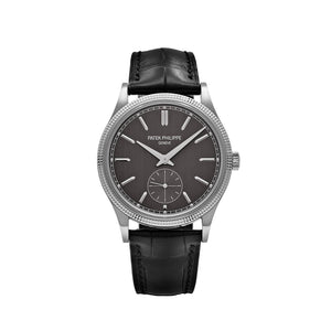 Patek Philippe Calatrava 6119G-001 White Gold Grey Dial (2026) — foto 1