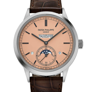 Patek Philippe Grand Complications 5236P-010 In-Line Perpetual Calendar Platinum Salmon Dial (2025) — foto 4