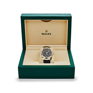 Rolex Sky-Dweller 336238 Yellow Gold  Bright Black Dial (2024) — foto 7